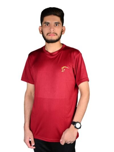 Xtreme sportswear t-shirt in maroon colour desi men standing with white back ground